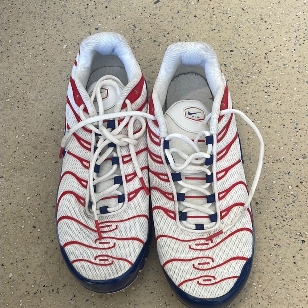 Nike Gray Air Max Plus Sneakers With Tuned Air Technology